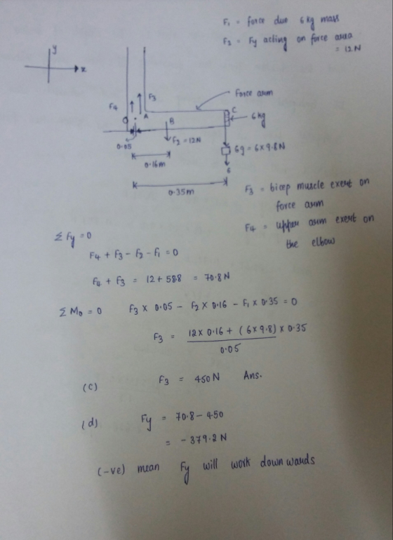 Fs Fy acling on force auo F3 f4 -12N o-I6m s biep muucle exet on force asm o-35m 乏fy:0 bhe elbow F12x 016 (6xq.8) x 035 F3450