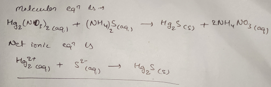 Moleculer eat as .. Mg, (NO3)2 (aq) + (NH4) Scan, → Hgg8cs) + 2NH₂ NO3 lag, Net ionic car es Hoght lag, & se lag, → Mg S (8)