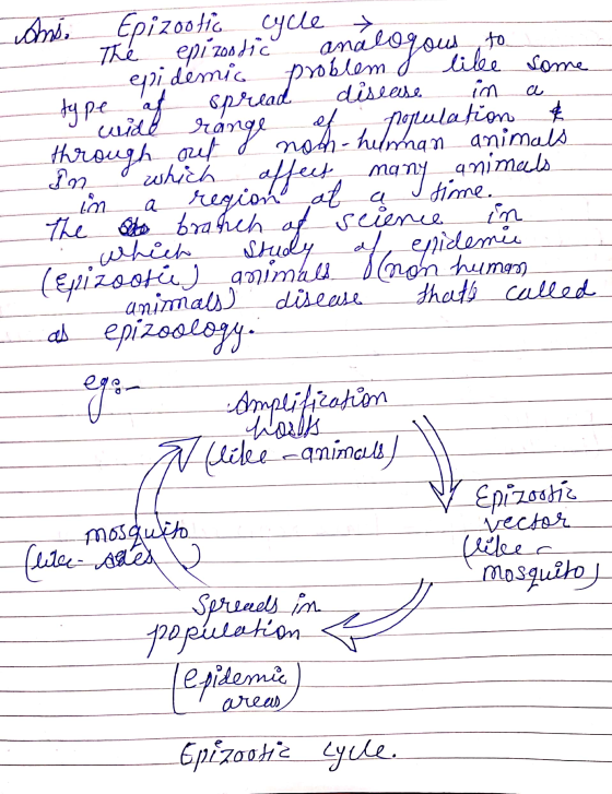 个 a & wide range noh which affect many time. he Tulation а in study Man eristemer Ans. Epizootic cycle → The epizootic anal u