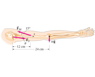 FM 15° -12 cm 74 cm