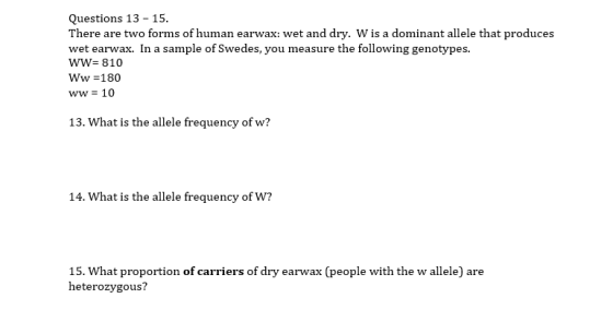Questions 13 - 15. There are two forms of human earwax: wet and dry. W is a dominant allele that produces wet earwax. In a sa