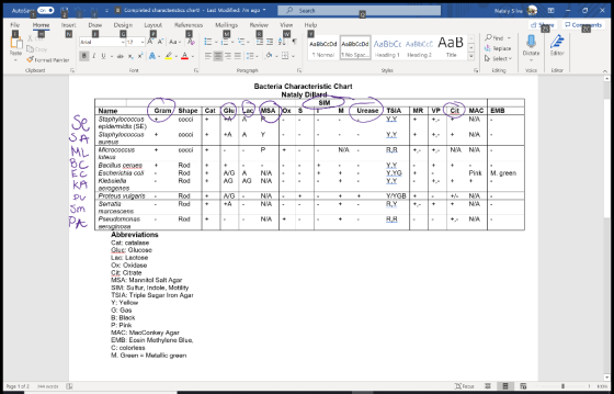 AutoSalon B Completed characteristics chart: - Last Modified: 7m ego Search Nataly Silva File 1 с Home Insert Draw Design Lay