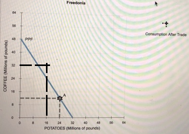 Freedonia Consumption After Trade 48 PPF 32 0 8 6 24 32 40 48 56 64 POTATOES (Milions of pounds)