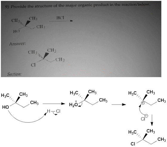 9) Provide the structure of the major organic product in the reaction below. CH, CHHC CH: Ho Answer: с113 СН3 / 13 СТ Section