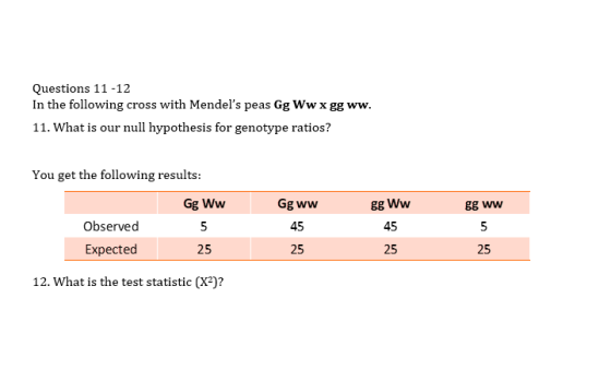Questions 11 -12 In the following cross with Mendels peas Gg Ww x gg ww. 11. What is our null hypothesis for genotype ratios