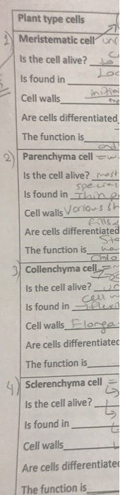 Plant type cells Meristematic celloni Is the cell alive? od Is found in Cell walls Are cells differentiated The function is i