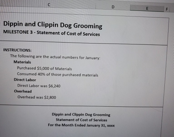 Dippin and Clippin Dog Grooming MILESTONE 3 - Statement of Cost of Services INSTRUCTIONS: The following are the actual number