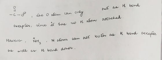 O= act as it bond — С — on line onlоww cos org no r alon attached. acceptar, since it has H bond acceton as act both can en N