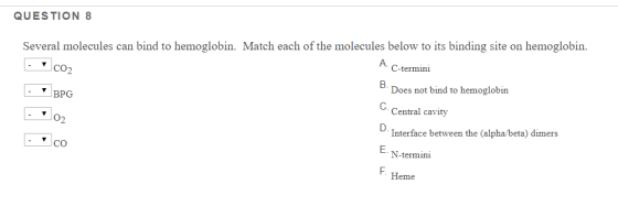 QUESTION 8 Several molecules can bind to hemoglobin. Match each of the molecules below to its binding site on hemoglobin. A.
