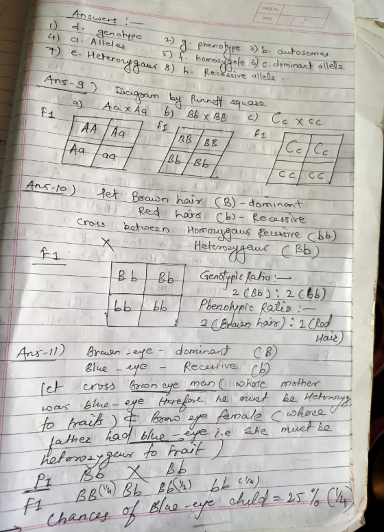 Answers PAGE NO DATE 4) 7 enotype a Alleles bills) f. homozygole 6) c. e. Heteropgaur 8) b. Recessive allele. 2) g. phenolype