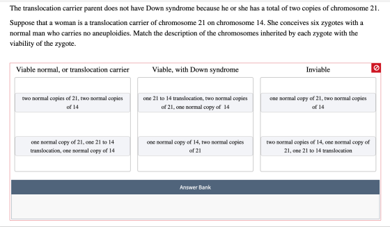 The translocation carrier parent does not have Down syndrome because he or she has a total of two copies of chromosome 21. Su
