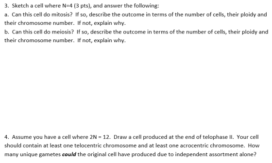 3. Sketch a cell where N=4 (3 pts), and answer the following: a. Can this cell do mitosis? If so, describe the outcome in ter