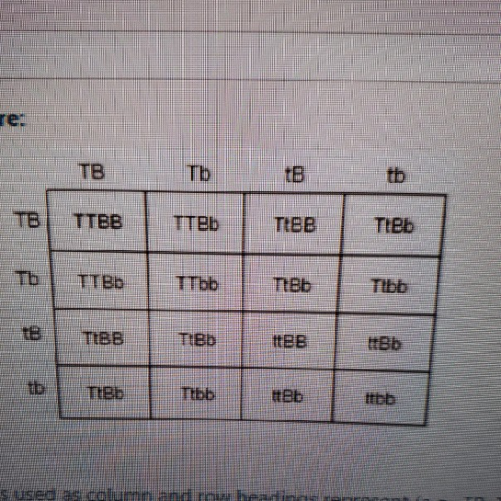 re ТВ Tb тв TTBB ТТвь TIBB TIeb е тТВЫ Тbb тво е тівв TIBb IIBB tb TIBD tBb при і митні