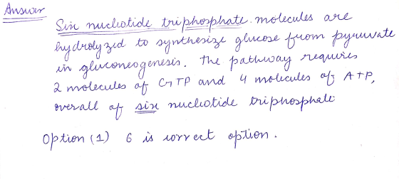 Answer Sin nuchotide triphosphate molecules are hydrolyzed to synthesize glucose from pyruvate in gluconeogenesis, the pathwa