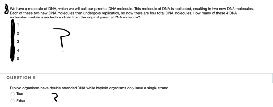 We have a molecule of DNA, which we will call our parental DNA molecule. This molecule of DNA is replicated, resulting in two