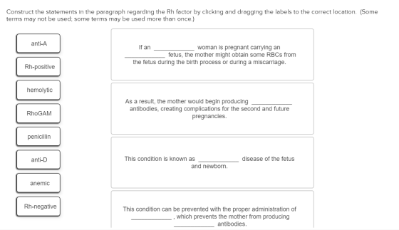 Construct the statements in the paragraph regarding the Rh factor by clicking and dragging the labels to the correct location