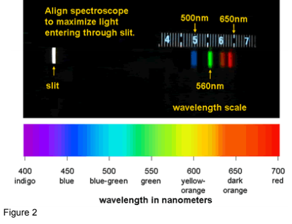 Align spectroscope to maximize light entering through slit. 500nm 650nm slit 560nm wavelength scale 400 550 blue-green green