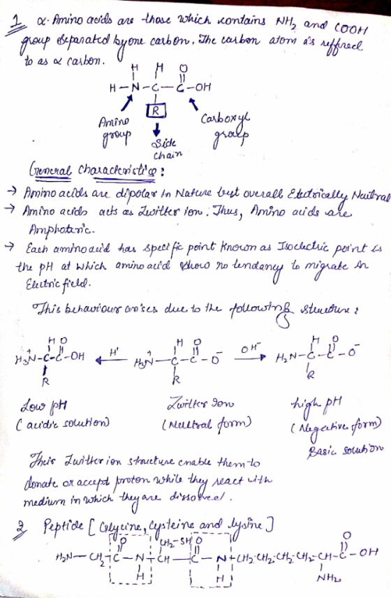 2 Anino Covbon Side Chain homo acids ar dipotas In Natune beyt overall eudonially Nuitrol the pH at which amino auid hero w u