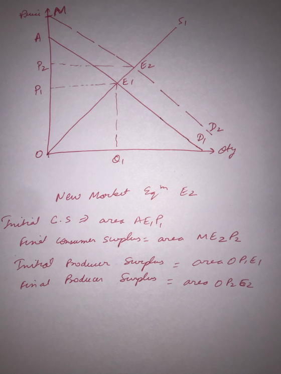 Psci RM A P2 PI New Markt Trira C.s and Lensumer supls arer AE, ME2P anea Suryeus Produar Suplus area 0P.E Tniral Produer are