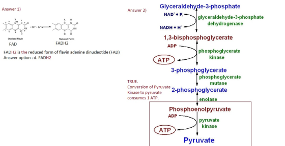 Glyceraldehyde-3-phosphate Answer 1) Answer 2) NADP glyceraldehyde-3-phosphate R. R H dehydrogenase NH +2H+ NADH + H 1,3-bisp
