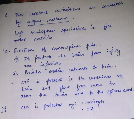 9. Two cerebral hemispheres are connecte by coopus callosum. Left hemisphere specializes in fine motor activities. - 20. func