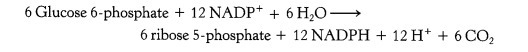 6 Glucose 6-phosphate 12 NADP+ 6H2O-> 6 ribose 5-phosphate 12 NADPH 12 H+ 6 CO2