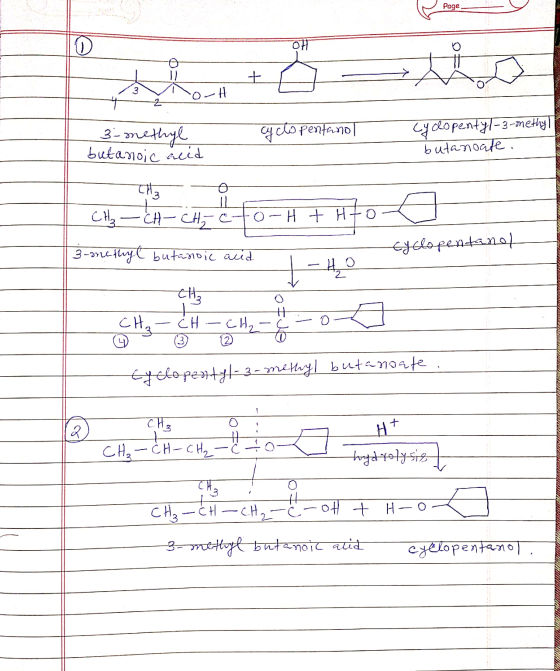 Page DD cyclopentanol 3-methyl butanoic acid Cyclopentyl-3-methyl butanoate. - 6- - H + -- - 3-onethyl butarioic and cyclopen