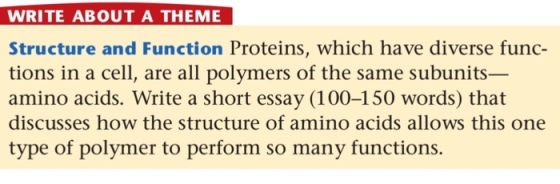 Image for WRITE ABOUT A THEME Structure and Function Proteins, which have diverse functions in a cell, are all polymers