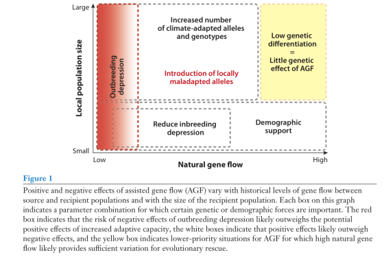 --------------------- Large Increased number of climate-adapted alleles and genotypes Low genetic differentiation Little gene