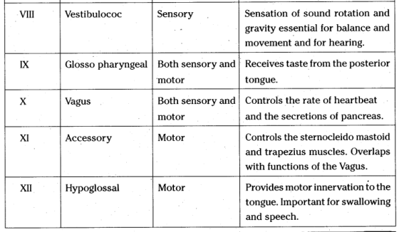VIII Vestibulococ Sensory Sensation of sound rotation and gravity essential for balance and movement and for hearing. IX Glos