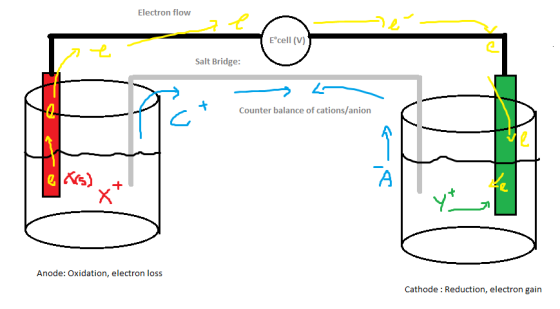 Electron flow E°cell (V) Salt Bridge: 2 4 Counter balance of cations/anion rs) Anode: Oxidation, electron loss Cathode: Reduc