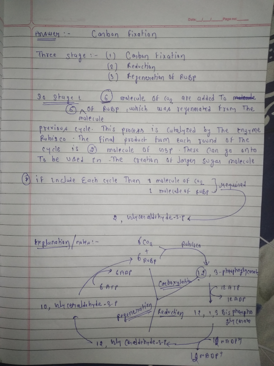 Date: Page no: Answer: Carbon fixation Three stage :- (1) (2) (3) Carbon fixation Reduction Regeneration of RuBP so stage I (