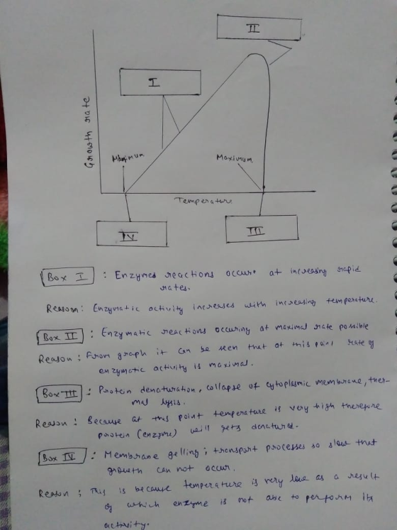 rate Growth Manimum Maximum Temperatur IV T I Box I Enzymed reactions occur at increasing rapid rates, Reason: Enzynratic act