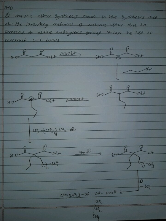 B malonic ester synthesis means in the synthesis one of the prarhag meterial is malons esses due to presence of active methyl