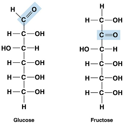 HO-C-H H-C-OH Glucose Fructose