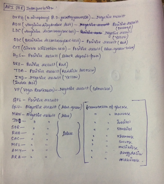 result LDC (Arginine decar result (Yellow) greewtube) APT 20 F Ini poretatiow. ON PG (onitopheryl B D-galactopyranosde) -..