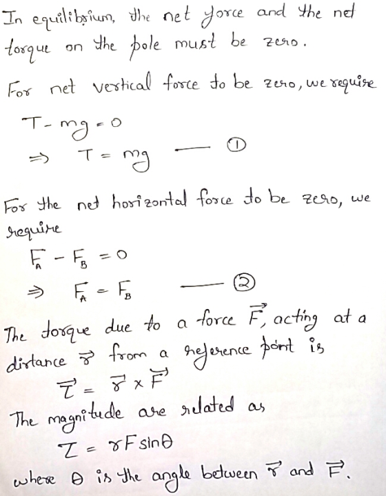 In equilibpium, the net yorce and the net torque on the pole must be zero. For net vestical force to be zero, we requise - To