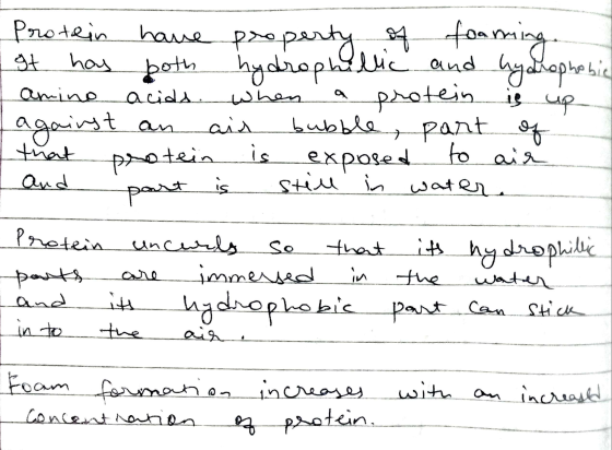 Protein gt has amino against that and have property do both hydrophilic and hydrophobic acids when a protein is up an ais bub