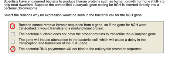 Scientists have engineered bacteria to produce human proteins such as human growth hormone (hGH) to help treat dwarfism. Supp