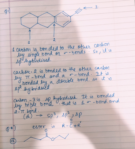 23 1 carbon is bonded to the other carbon by single bond or s-bonds. So, it is sp hybridised carbou. 2 is bonded to the other