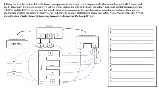 1. Using the template below, fill in the boxes corresponding to the letters on the diagram with what would happen if MAP is e