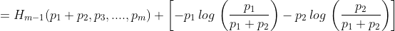 1 P2 = Hm-1(pi + p2, P3, ...., Pm) + -pi log P1 - P1 + P2 -p2 log P1 + P2)