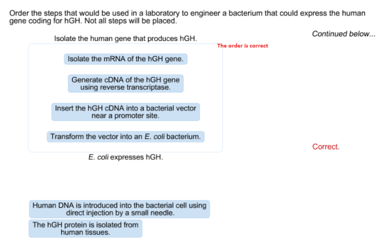 Order the steps that would be used in a laboratory to engineer a bacterium that could express the human gene coding for hGH.