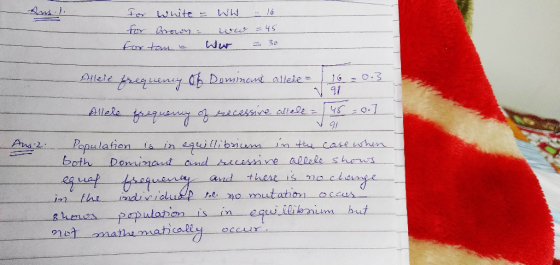 for White - WW - 16 for Brown - ww = 45 for tan = war = 30 Allele frequency of Dominant allele 16 = 0.3 -Allele frequency of