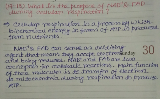 (17-18) What is the purpose of NADT & FAD during celular respiration ? > Cellular respination is a process by which biochemic