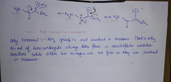 I-Z X w not involved is resonance Only terminal (W)NH2 group is not involved in resonance. Thats why N-end of semi carbazide