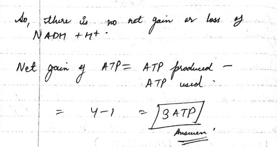 So, there NAD is no net +ht. gain or loss of Net gain of ATP = ATP produced ATP used - LE 4- L33 ATP/ ascen enta fin