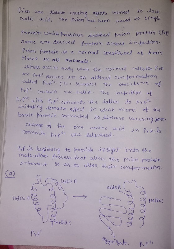 no are lack nuclic usease aid. The causing agents prion has been seemed traced to to which Prusiner doubbed prion protein (Po