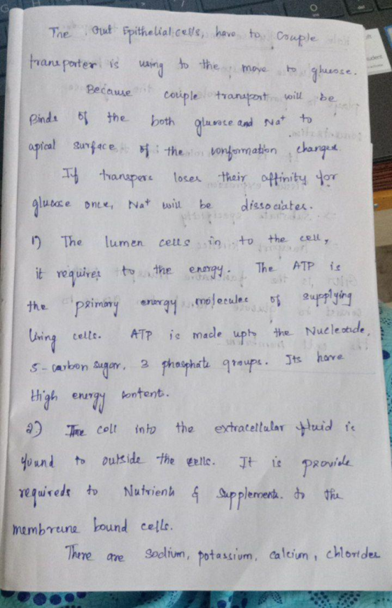The to the move to gruesse. Gut Epithelial cells, have to complet hrane parter is using Because coriple transport will Binde