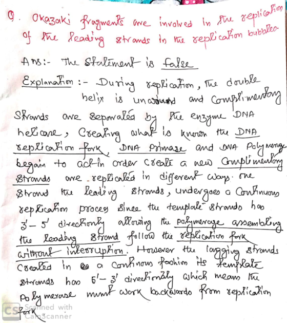 replication replication bubbles. G. Okazaki fragments are involved in the of the leading strands in the replication & Ansi- T
